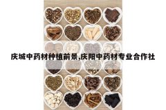 <b>�����ҩ����ֲǰ��,������ҩ��רҵ������</b>