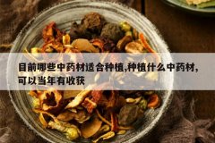 <b>Ŀǰ��Щ��ҩ���ʺ���ֲ,��ֲʲô��ҩ��,���Ե������ջ�</b>