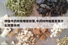 <b>��ֲ��ҩ������Щ����,��ҩ����ֲ������ʲô���߷���</b>