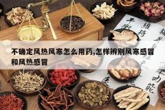 <b>��ȷ�����ȷ纮��ô��ҩ,�������纮��ð�ͷ��ȸ�ð</b>