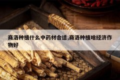 <b>������ֲʲô��ҩ�ĺ���,������ֲɶ���������</b>