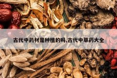 <b>�Ŵ���ҩ������ֲ����,�Ŵ��в�ҩ��ȫ</b>