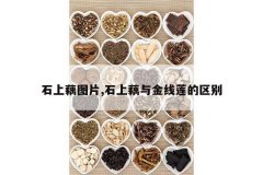 <b>ʯ��źͼƬ,ʯ��ź�������������</b>