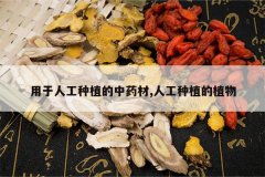 <b>�����˹���ֲ����ҩ��,�˹���ֲ��ֲ��</b>