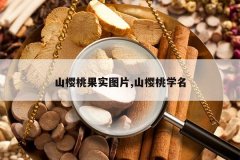 <b>ɽӣ�ҹ�ʵͼƬ,ɽӣ��ѧ��</b>