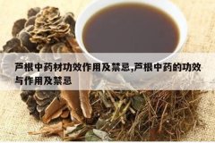 <b>«����ҩ�Ĺ�Ч���ü�����,«����ҩ�Ĺ�Ч�����ü�����</b>