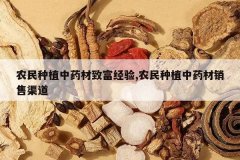 <b>ũ����ֲ��ҩ���¸�����,ũ����ֲ��ҩ����������</b>