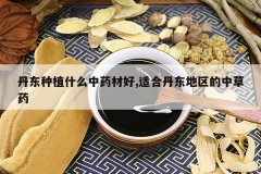 <b>������ֲʲô��ҩ�ĺ�,�ʺϵ����������в�ҩ</b>