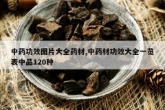 <b>��ҩ��ЧͼƬ��ȫҩ��,��ҩ�Ĺ�Ч��ȫһ������Ʒ120��</b>