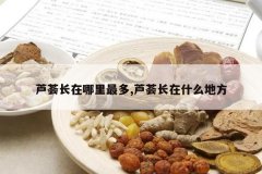 <b>«�������������,«������ʲô�ط�</b>