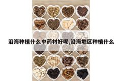 <b>�غ���ֲʲô��ҩ�ĺ���,�غ�������ֲʲô</b>