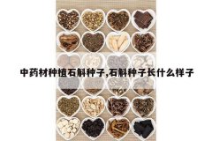 <b>��ҩ����ֲʯ������,ʯ�����ӳ�ʲô����</b>