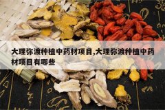 <b>�����ֶ���ֲ��ҩ����Ŀ,�����ֶ���ֲ��ҩ����Ŀ����Щ</b>