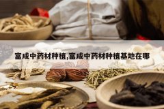 <b>������ҩ����ֲ,������ҩ����ֲ��������</b>