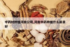 <b>��ҩ����ֲ���Ϲ�˾,������ҩ��ֲʲôǰ����</b>