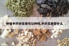 <b>��ֲ��ҩ�����ؿ�������,��ҩ���ع�ʲô</b>