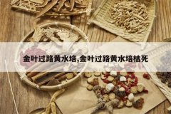 <b>��Ҷ��·��ˮ��,��Ҷ��·��ˮ�����</b>