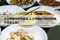 <b>�˹���ֲ��ҩ�ĸ���,�˹���ֲ����ҩ��ҩЧ��Ч��ô��?</b>