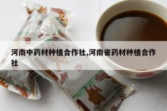 <b>������ҩ����ֲ������,����ʡҩ����ֲ������</b>