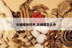 <b>ʯ���������,ʯ������ô��</b>