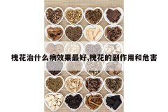 <b>������ʲô��Ч�����,�����ĸ����ú�Σ��</b>