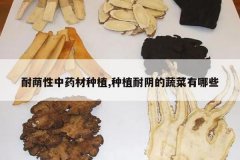 <b>��������ҩ����ֲ,��ֲ�������߲�����Щ</b>