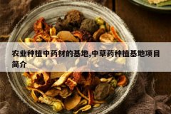 <b>ũҵ��ֲ��ҩ�ĵĻ���,�в�ҩ��ֲ������Ŀ���</b>