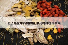 <b>ʷ����ȫ��ҩ����ֲ,��ҩ����ֲָ����</b>