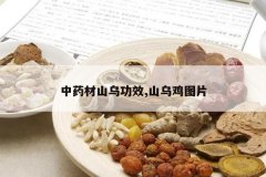 <b>��ҩ��ɽ�ڹ�Ч,ɽ�ڼ�ͼƬ</b>