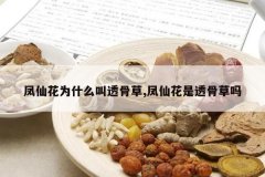 <b>���ɻ�Ϊʲô��͸�ǲ�,���ɻ���͸�ǲ���</b>