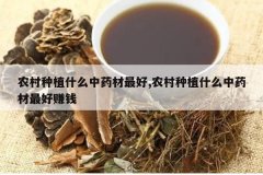 <b>ũ����ֲʲô��ҩ�����,ũ����ֲʲô��ҩ�����׬Ǯ</b>