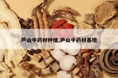 <b>«ɽ��ҩ����ֲ,®ɽ��ҩ�Ļ���</b>