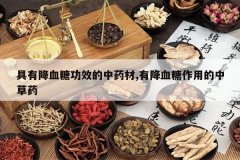 <b>���н�Ѫ�ǹ�Ч����ҩ��,�н�Ѫ�����õ��в�ҩ</b>