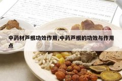 <b>��ҩ��«����Ч����,��ҩ«���Ĺ�Ч�����õ�</b>