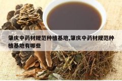 <b>������ҩ�Ĺ淶��ֲ����,������ҩ�Ĺ淶��ֲ��������Щ</b>