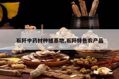 <b>ʯ����ҩ����ֲ����,ʯ����ɫũ��Ʒ</b>