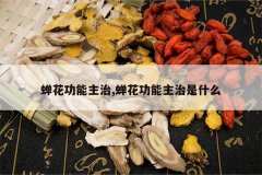 <b>������������,��������������ʲô</b>