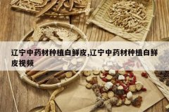 <b>������ҩ����ֲ����Ƥ,������ҩ����ֲ����Ƥ��Ƶ</b>