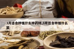 <b>3���ʺ���ֲʲô��ҩ��,3���ʺ���ֲʲô��</b>