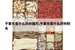 <b>ǧ�����ʲôҩ��ͼƬ,ǧ�����ʲôҩ�ı���</b>