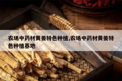 <b>ũ����ҩ�Ļƽ���ɫ��ֲ,ũ����ҩ�Ļƽ���ɫ��ֲ����</b>