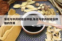 <b>�ջ�����ҩ�Ľ����ֲ,�ջ�����ҩ�Ľ����ֲ������</b>