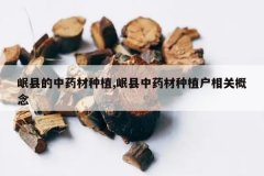 <b>��ص���ҩ����ֲ,�����ҩ����ֲ����ظ���</b>