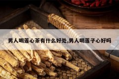 <b>���˺����Ĳ���ʲô�ô�,���˺������ĺ���</b>