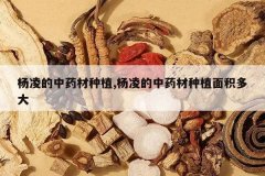 <b>�������ҩ����ֲ,�������ҩ����ֲ������</b>