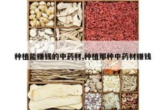 <b>��ֲ��׬Ǯ����ҩ��,��ֲ������ҩ��׬Ǯ</b>