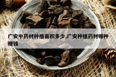 <b>�㰲��ҩ����ֲ�������,�㰲��ֲҩ������׬Ǯ</b>