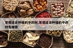 <b>�����ʺ���ֲ����ҩ��,�����ʺ���ֲ����ҩ������Щ</b>