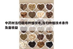 <b>��ҩ�ĵ���������ֲ����,������ֲ����������Ķ����</b>