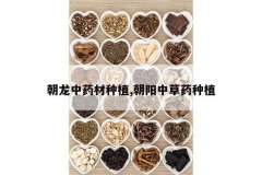 <b>������ҩ����ֲ,�����в�ҩ��ֲ</b>